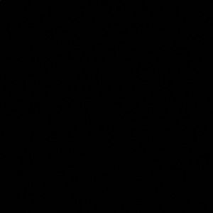 Meet your Posher, Taylah